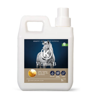 Krafft Vitamin B 1L