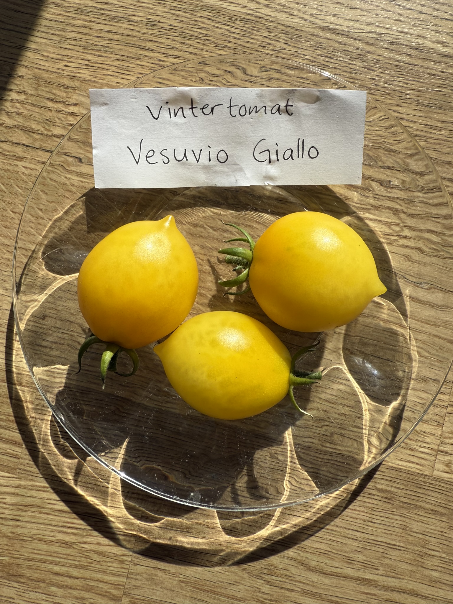Fröer - Vesuvio Giallo