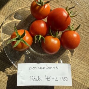 Fröer - Röda Heinz