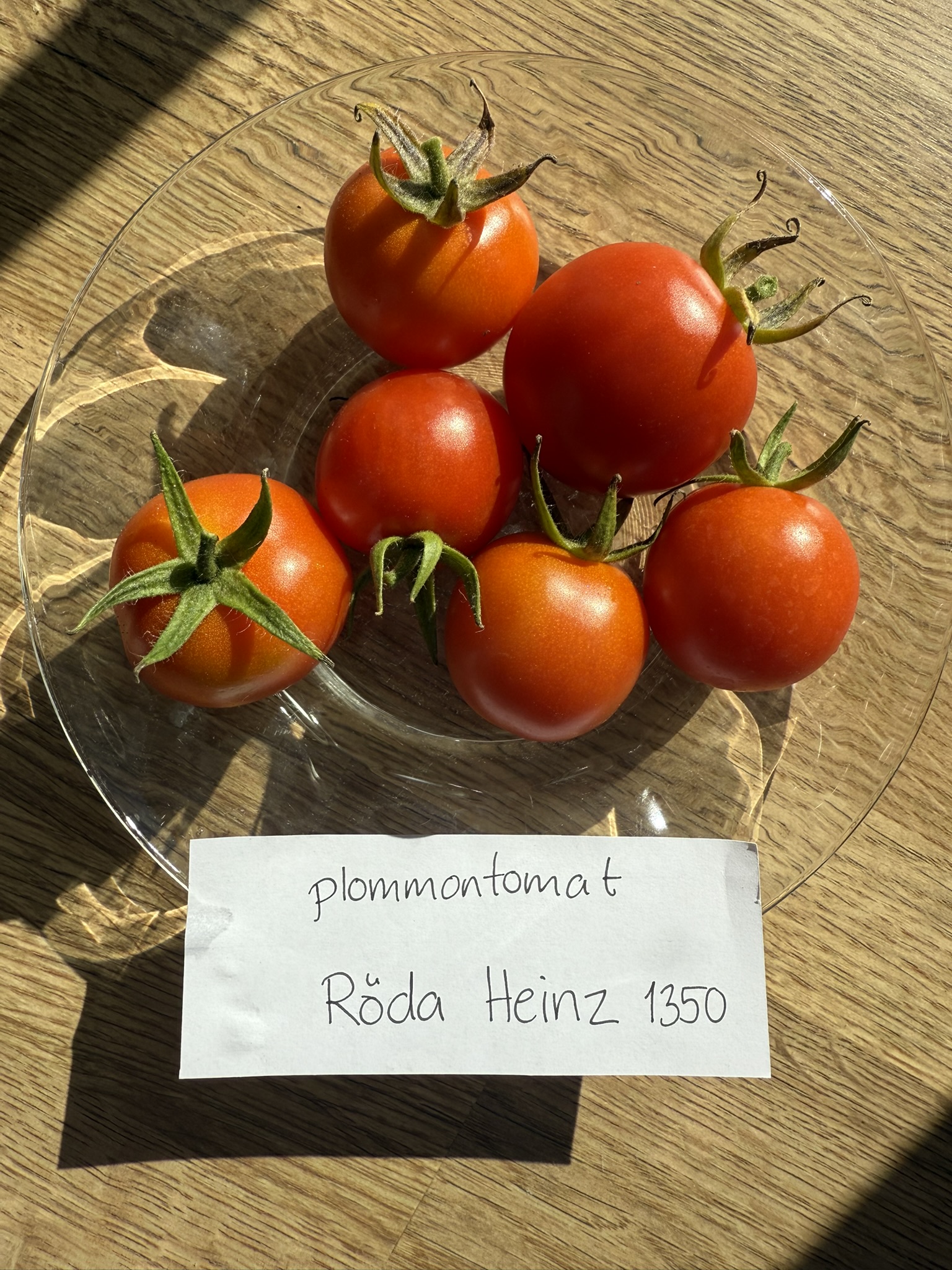 Fröer - Röda Heinz