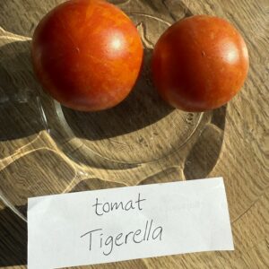 Fröer - Tigerella