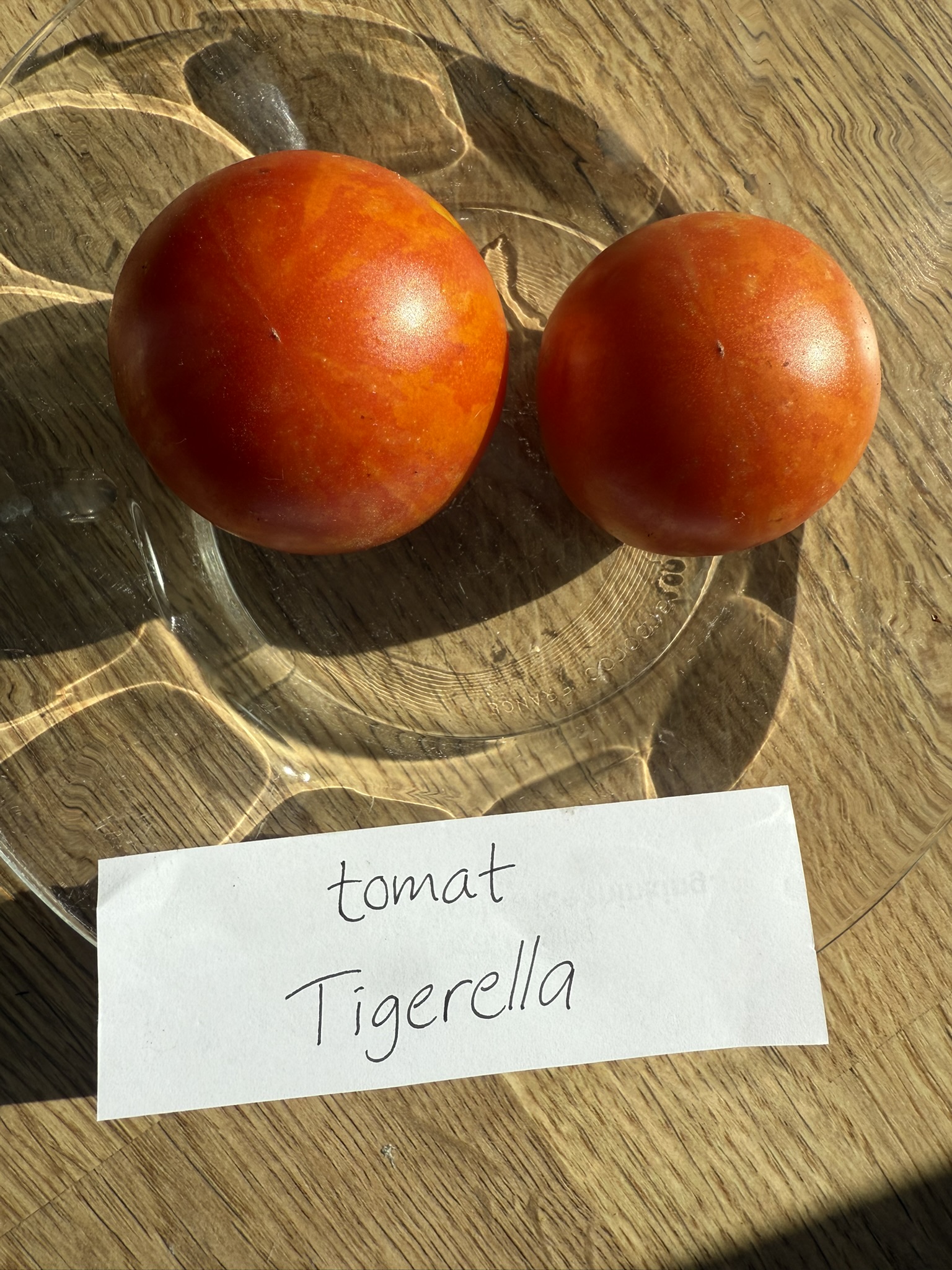 Fröer - Tigerella