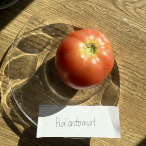 Fröer - Hallontomat