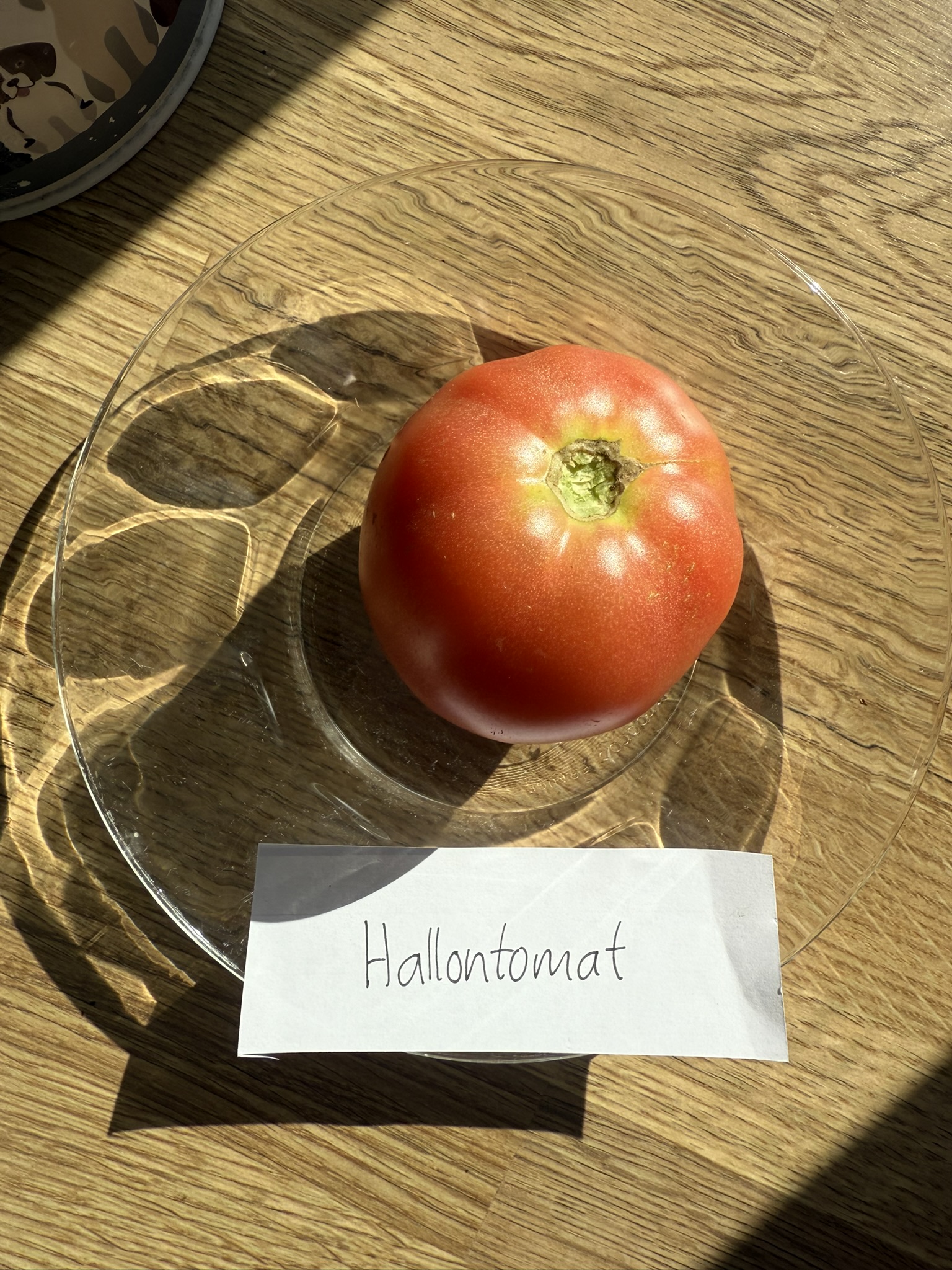 Fröer - Hallontomat