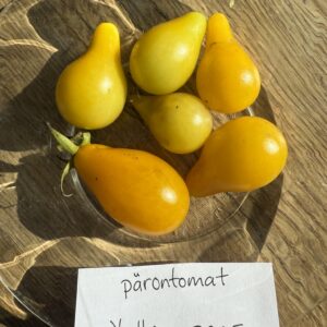 Fröer - pärontomat Yellow pear