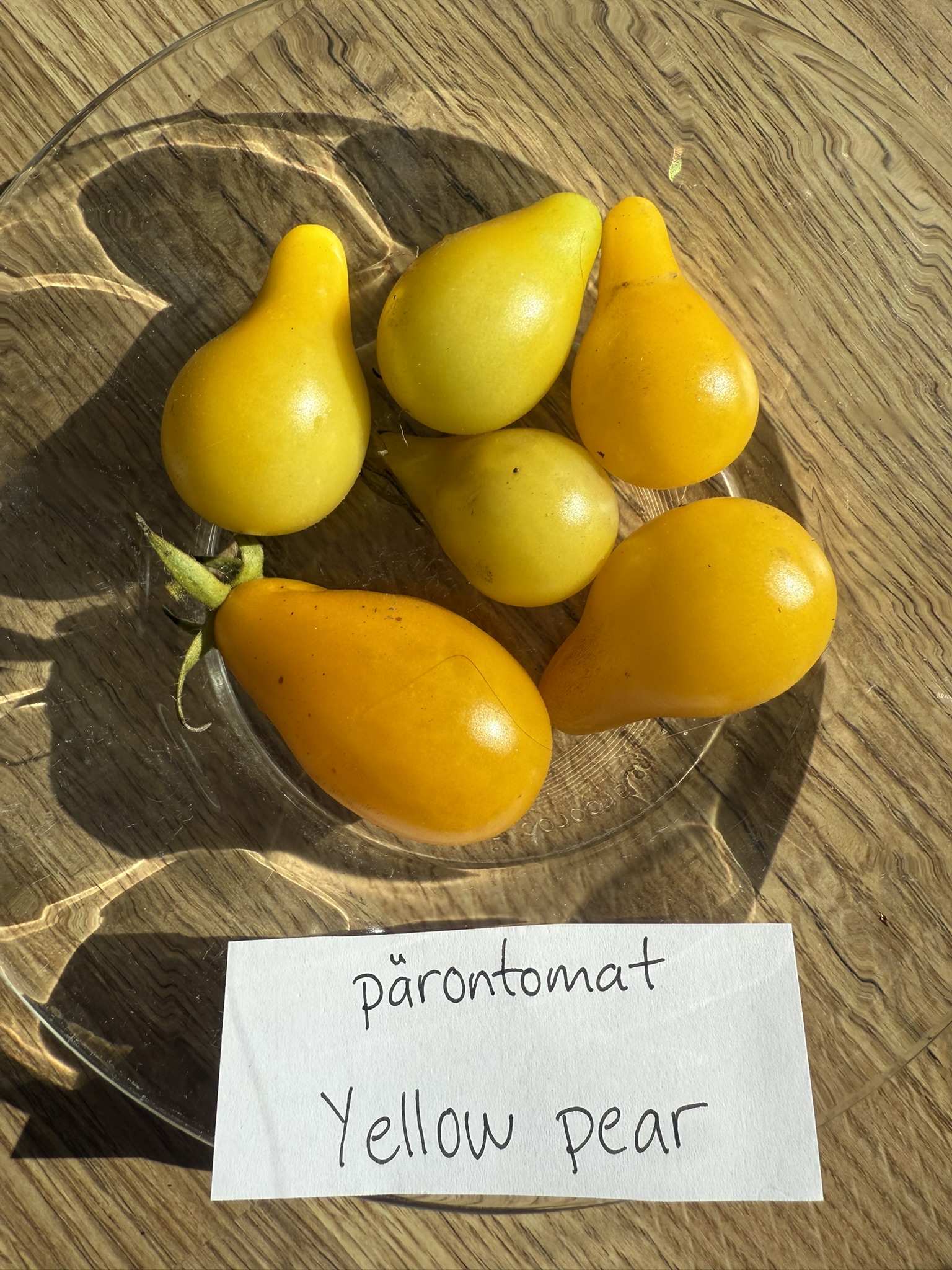 Fröer - pärontomat Yellow pear