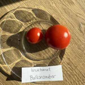 Fröer - kruktomat Balkonzauber