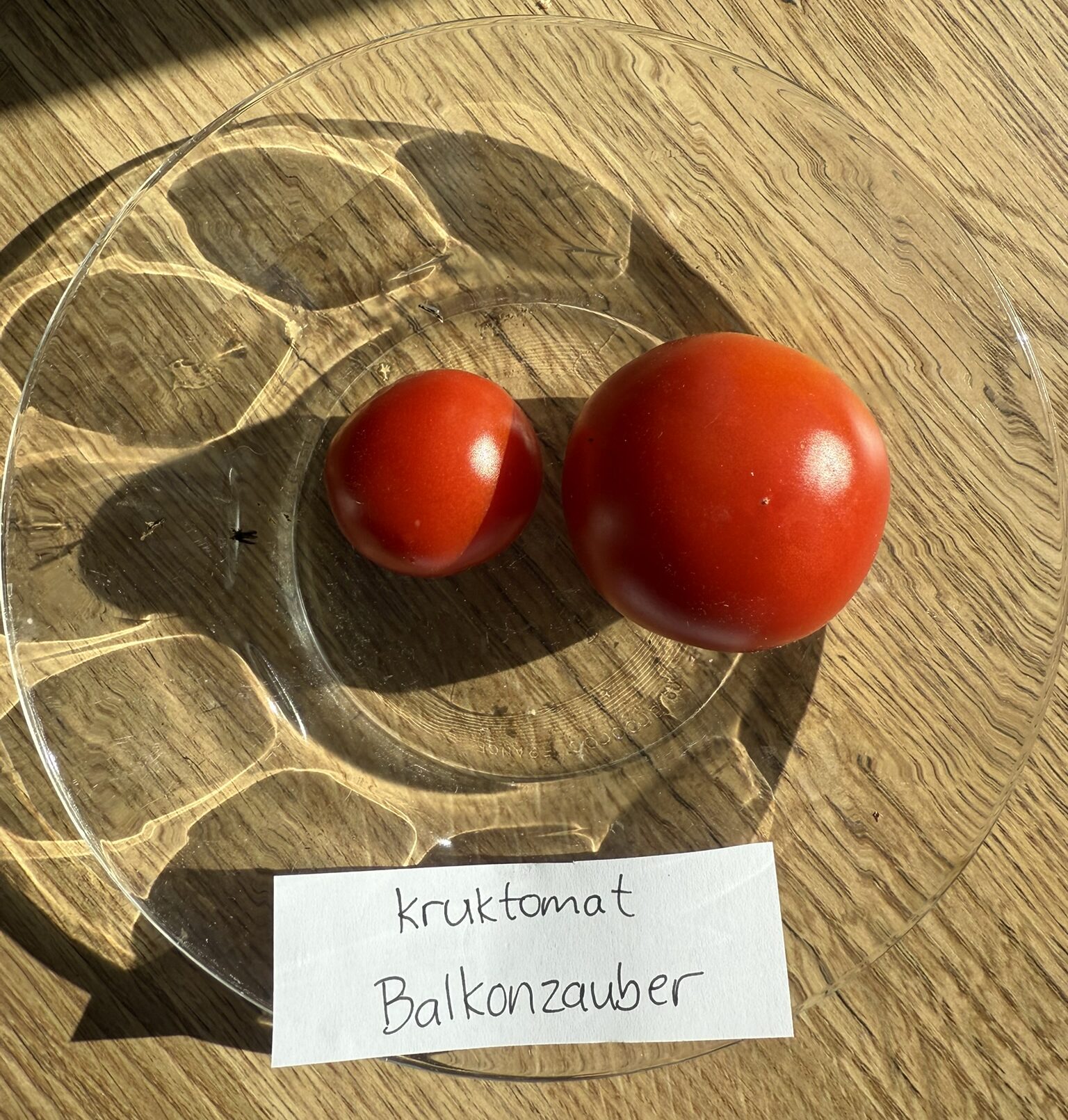 Fröer - kruktomat Balkonzauber