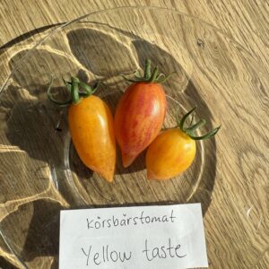 Fröer - körsbärstomat Yellow Taste
