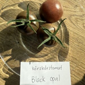Fröer - Körsbärstomat Black Opal