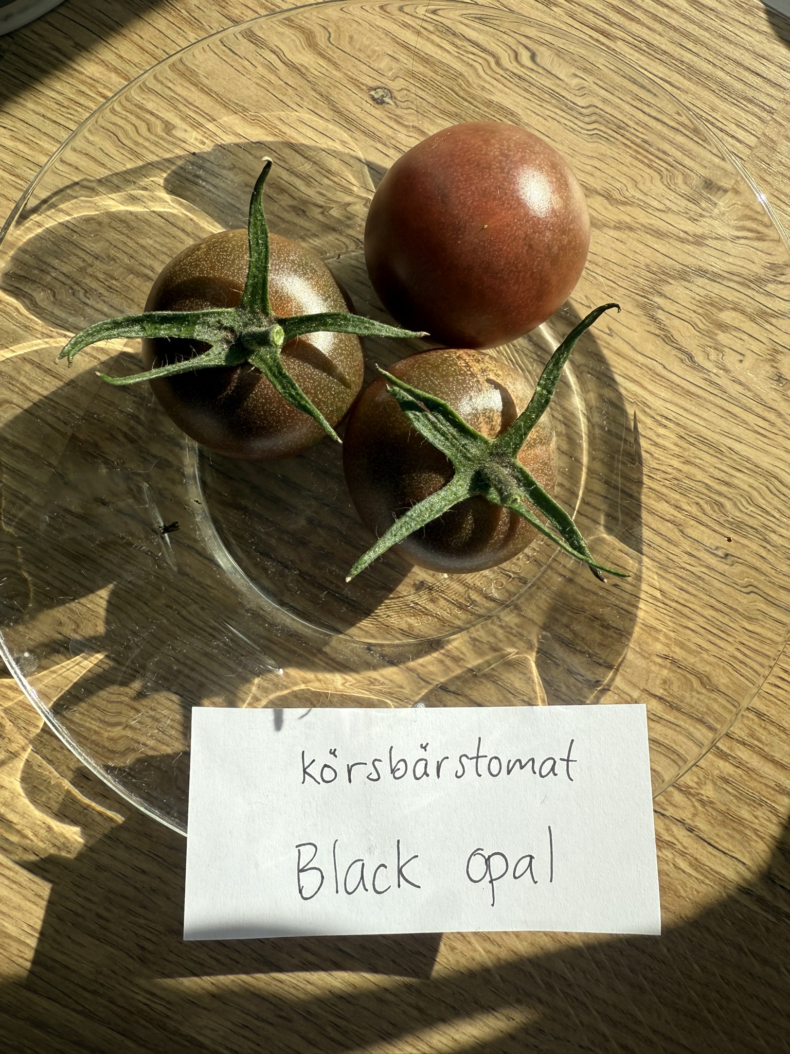 Fröer - Körsbärstomat Black Opal