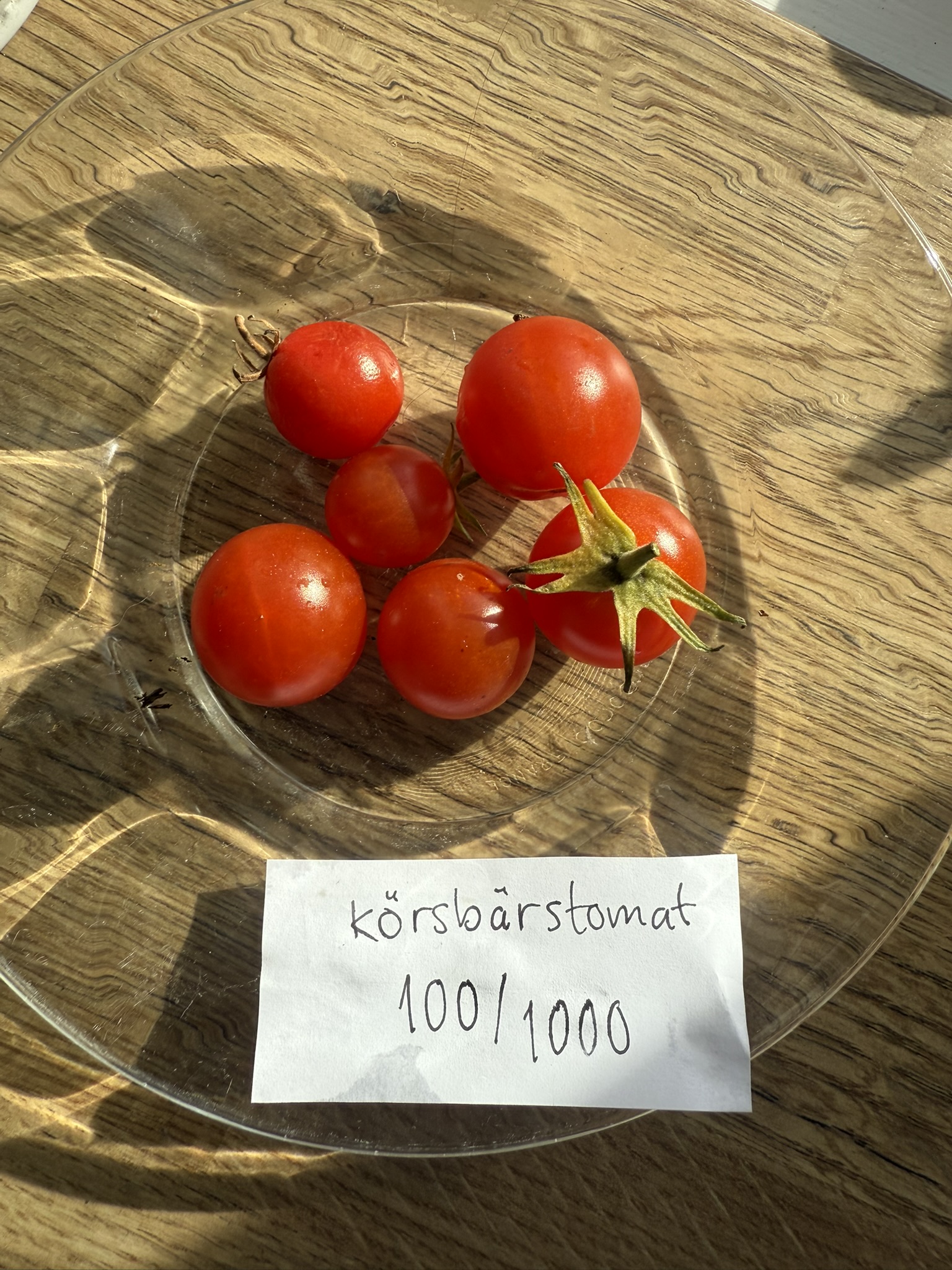Fröer - 100/1000